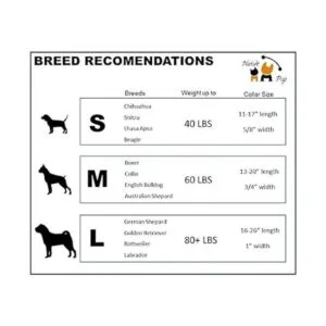 Collares de perro de primavera para cachorros nativos_6