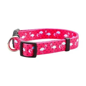 Collares de perro de primavera para cachorros nativos_4