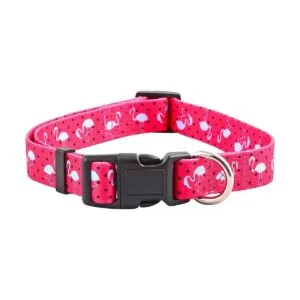 Collares de perro de primavera para cachorros nativos_5