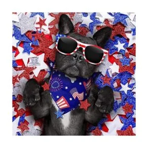 12 bandanas navideñas para perro Halloween bufanda día_5