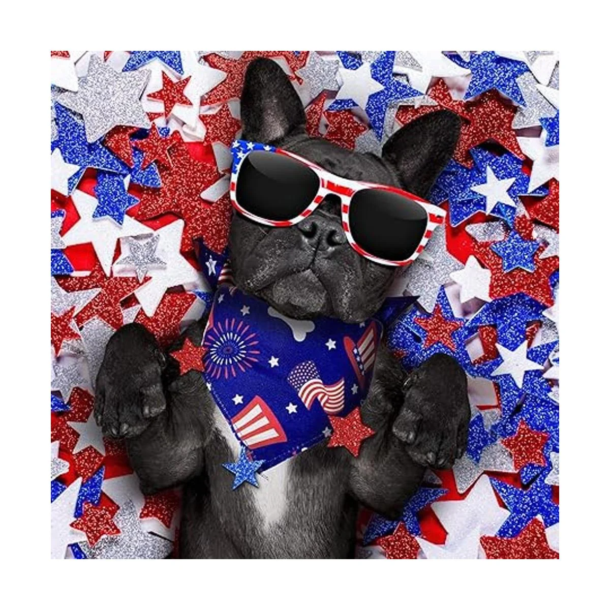 12 bandanas navideñas para perro Halloween bufanda día_5