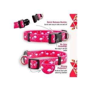 Collares de perro de primavera para cachorros nativos_3