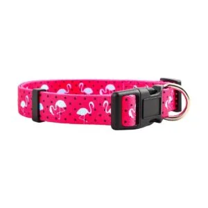 Collares de perro de primavera para cachorros nativos_1