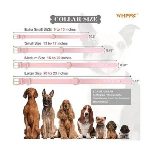 WHIPPY Collar de cuero para perros pequeños medianos y_4