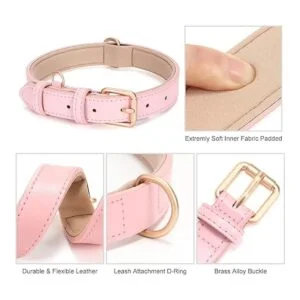 WHIPPY Collar de cuero para perros pequeños medianos y_5