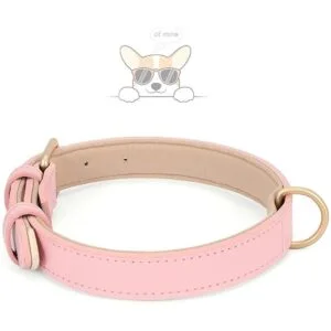 WHIPPY Collar de cuero para perros pequeños medianos y_3