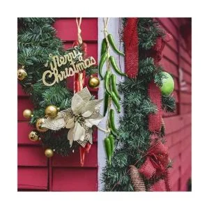 VIOCIWUO Juego de 2 cuerdas de pimienta artificiales para_5