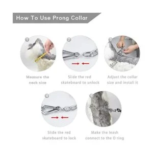 Collar de punta para perro collar de entrenamiento ultra_5