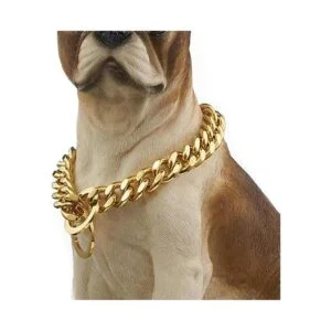 Aiyidi Collar de cadena para perro de acero inoxidable_2