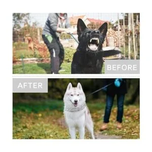 Collar de punta para perro collar de entrenamiento ultra_6