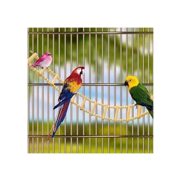 Puente de escalera de madera para pájaros_3