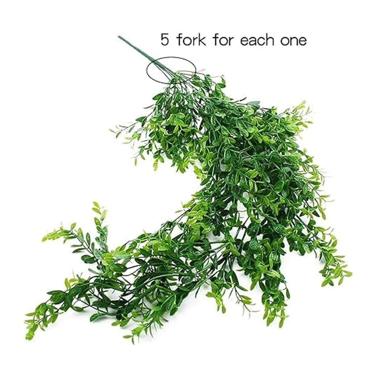 HERCOCCI Paquete de 3 plantas de reptiles plantas_3