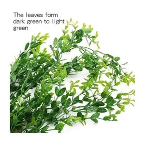 HERCOCCI Paquete de 3 plantas de reptiles plantas_2