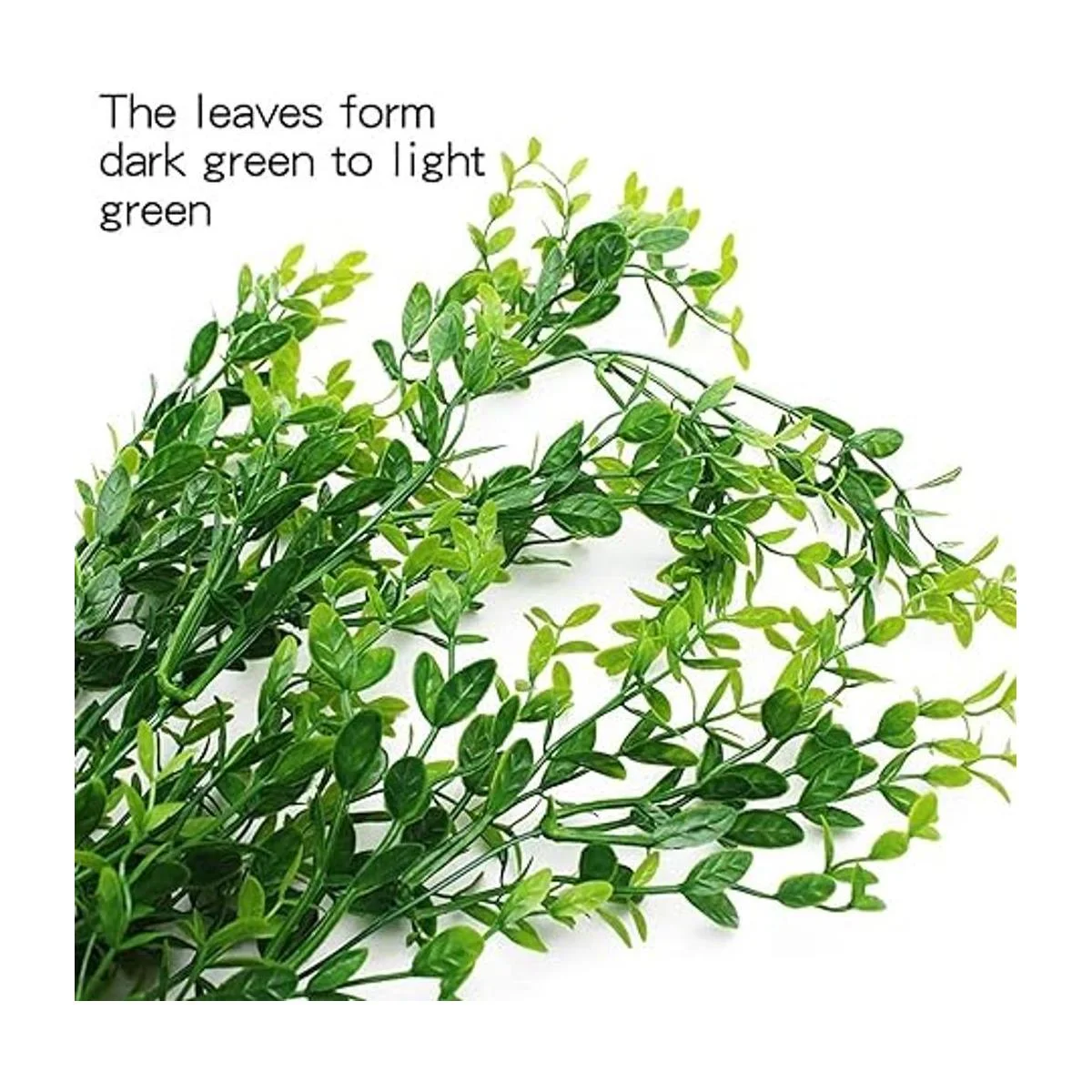 HERCOCCI Paquete de 3 plantas de reptiles plantas_2