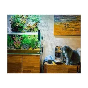 Kit de decoración de acuario de 13 piezas juego de_6