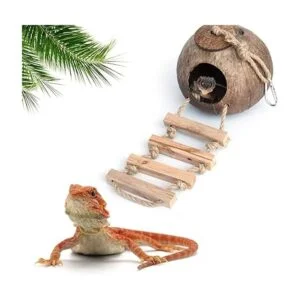 Gecko Cabaña de cáscara de coco cabaña de pájaros_7