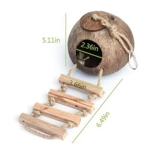 Gecko Cabaña de cáscara de coco cabaña de pájaros_6