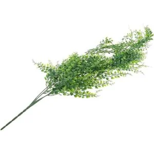 HERCOCCI Paquete de 3 plantas de reptiles plantas_6