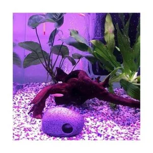 kathson Decoración de madera flotante para acuario ramas_5