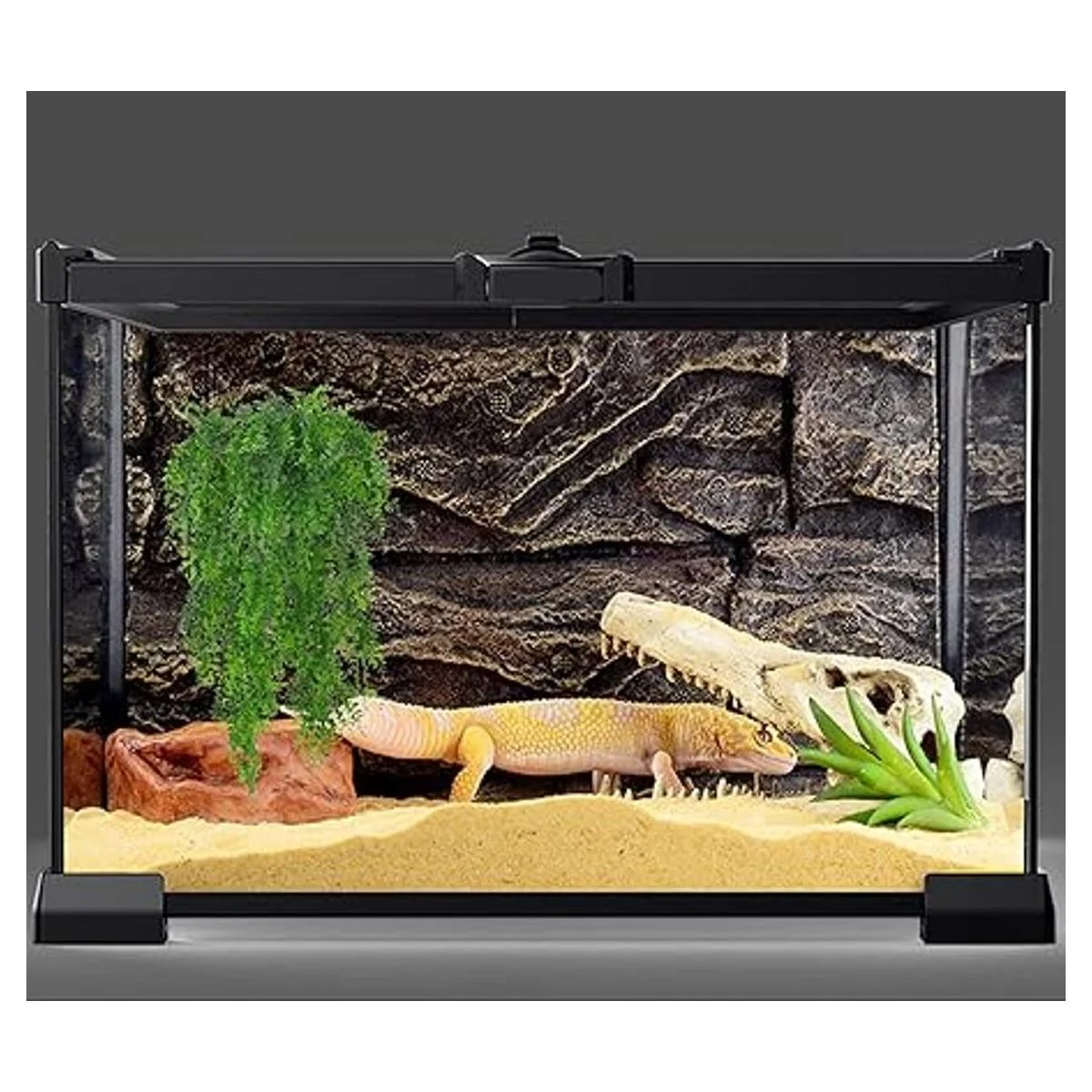 HERCOCCI Paquete de 3 plantas de reptiles plantas_4