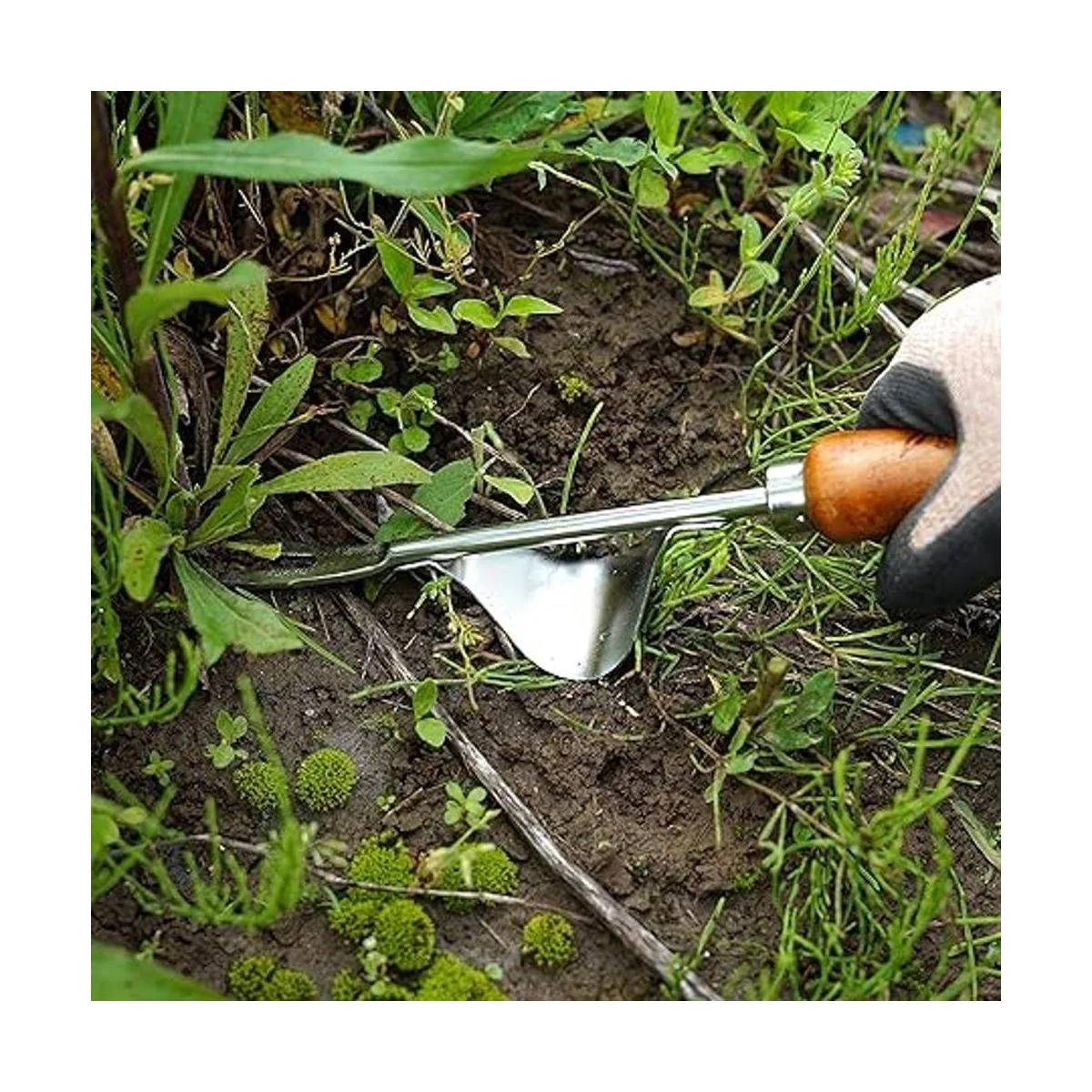 Extractor de malas hierbas de acero japonés resistente con_2
