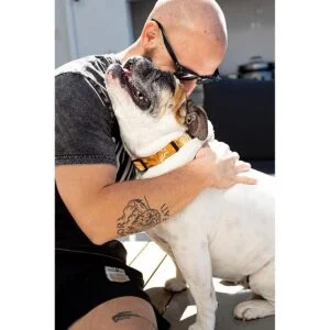 Collares de perro para perros pequeños medianos y_2