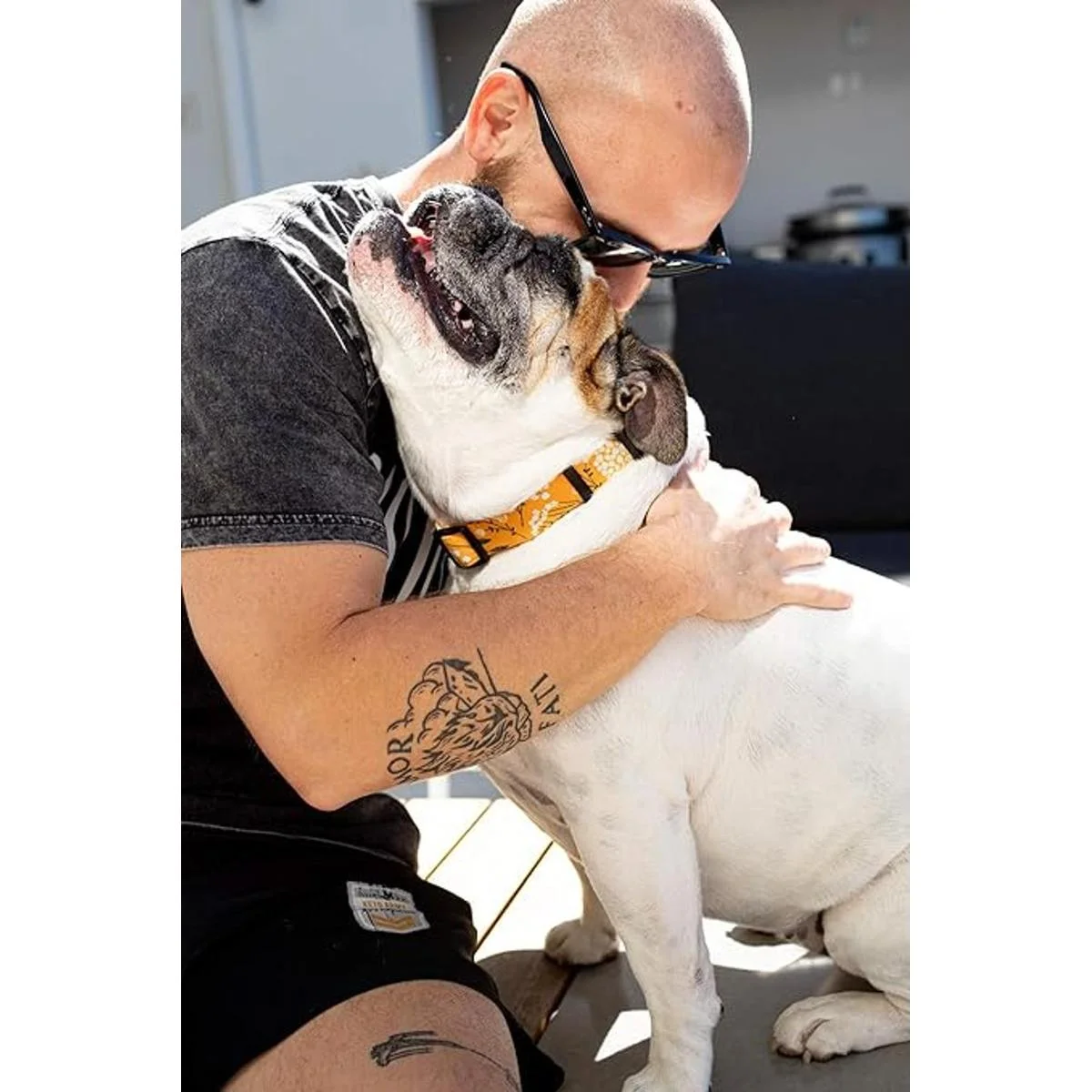 Collares de perro para perros pequeños medianos y_2