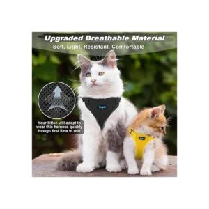 Supet Juego de arnés y correa para gatos pequeños a_3