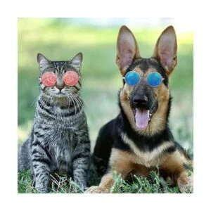 15 piezas pequeñas gafas de sol para mascotas retro perro_6