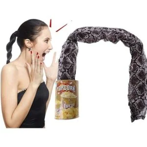 TJYONGHI The Potato Chip Snake Can Jump Spring Snake Toy_4