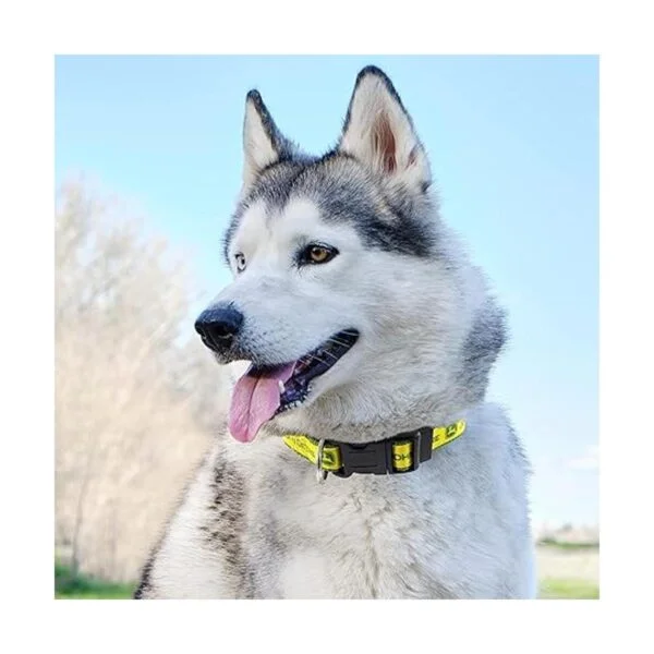 John Deere Collar para perros y gatos con licencia para_5
