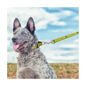 John Deere Collar para perros y gatos con licencia para_7