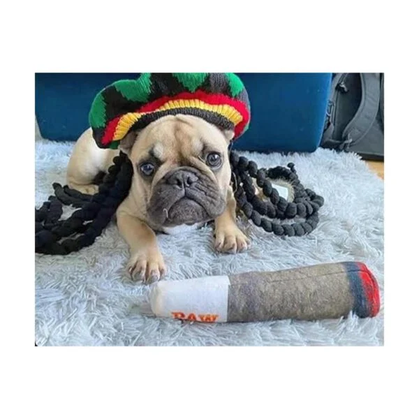 Doggy Doobie Juguetes divertidos para perros juguetes de_4