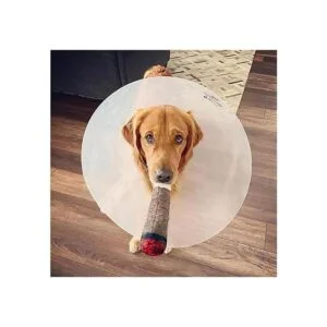 Doggy Doobie Juguetes divertidos para perros juguetes de_6