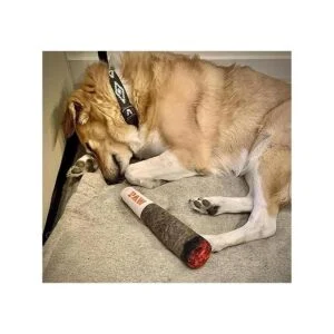 Doggy Doobie Juguetes divertidos para perros juguetes de_7