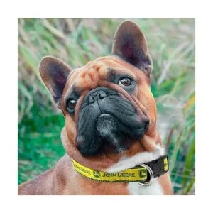 John Deere Collar para perros y gatos con licencia para_3