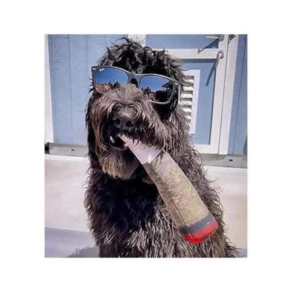 Doggy Doobie Juguetes divertidos para perros juguetes de_3