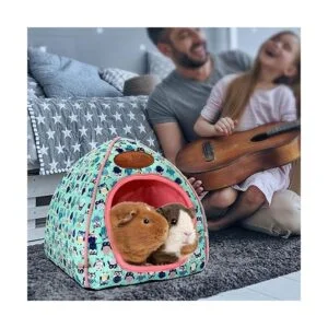 BWOGUE Cueva de conejillo de indias acogedora casa de_7