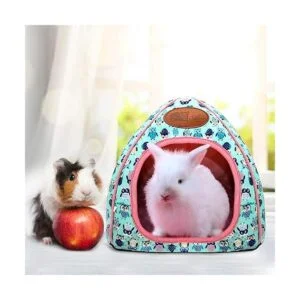 BWOGUE Cueva de conejillo de indias acogedora casa de_6