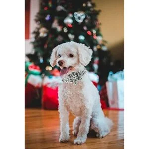 Elegant little tail Collar de perro de Navidad collar de_5