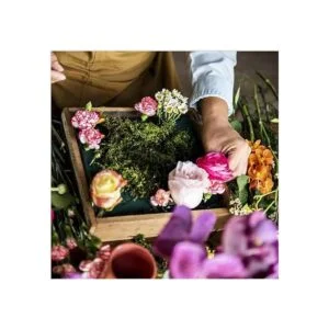 LOMIMOS Ladrillos de espuma floral bloques verdes de_4