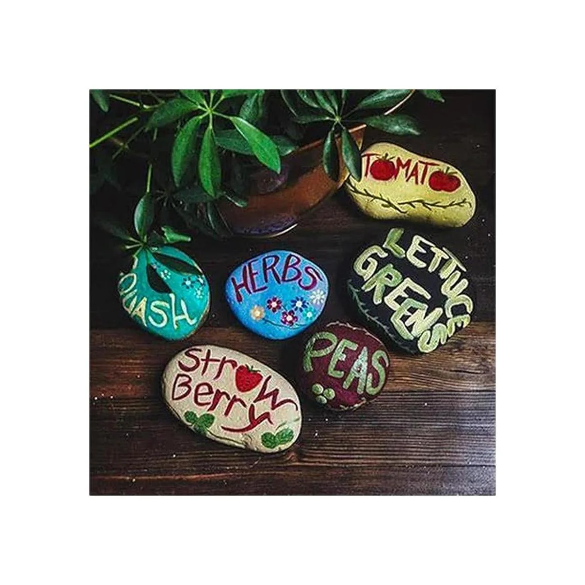 DECORKEY 24 rocas de río para pintura bricolaje y bondad_6