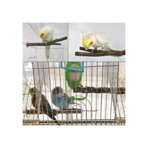 Percha de columpio para pájaros madera natural_5