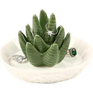 HOME SMILE áloe de cerámica para almacenar anillos cactus_1