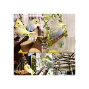 Percha de columpio para pájaros madera natural_6