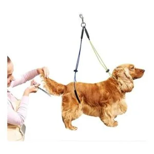 KUIDAMOS Gargantilla de aseo para perros sin sentarse con_3