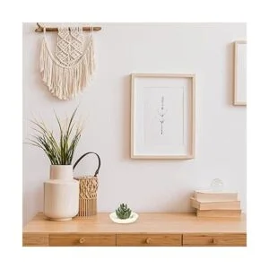 HOME SMILE áloe de cerámica para almacenar anillos cactus_6