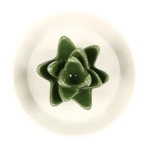 HOME SMILE áloe de cerámica para almacenar anillos cactus_4