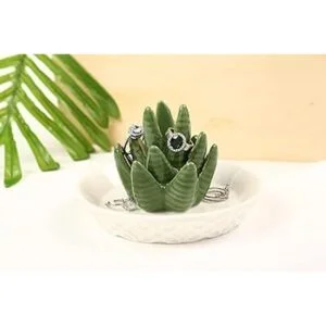 HOME SMILE áloe de cerámica para almacenar anillos cactus_3