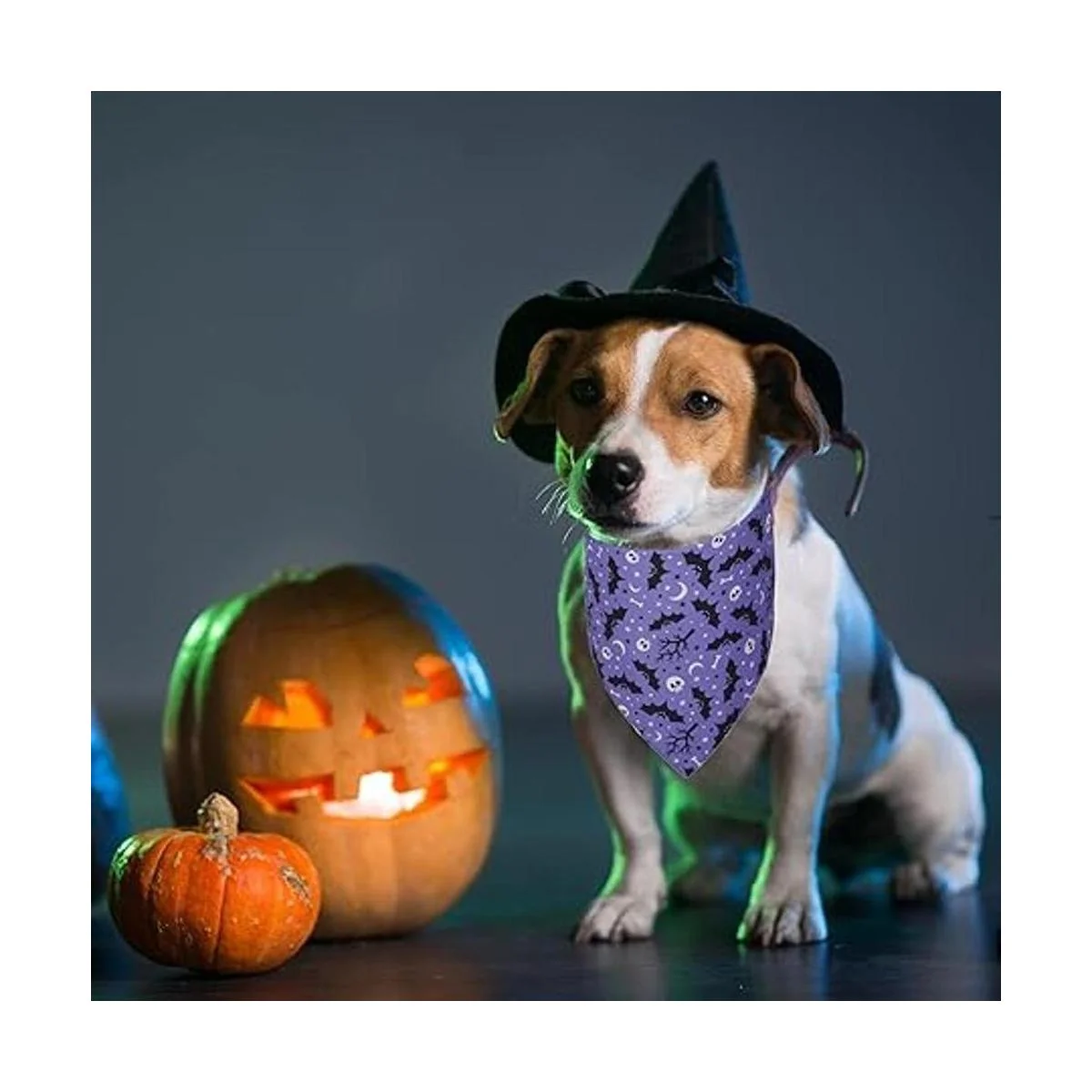 ADOGGYGO Paquete de 2 bandanas de Halloween para perros_2